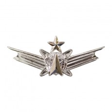 [Vanguard] Air Force and Army Badge: Space Senior - regulation size