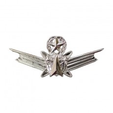 [Vanguard] Air Force and Army Badge: Space Master Badge - regulation size