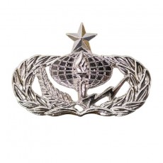 [Vanguard] Air Force Badge: Services: Senior - regulation size