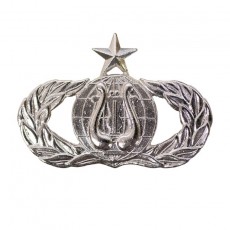 [Vanguard] Air Force Badge: Band: Senior - regulation size