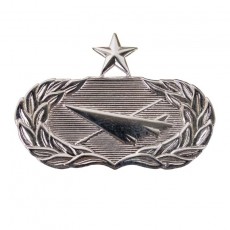 [Vanguard] Air Force Badge: Historian: Senior - regulation size