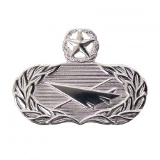 [Vanguard] Air Force Badge: Historian: Master - regulation size