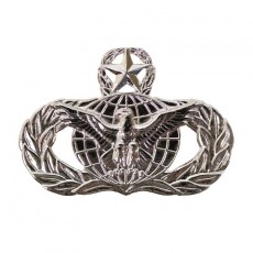 [Vanguard] Air Force Badge: Force Protection: Master - regulation size