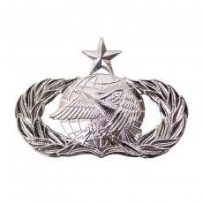 [Vanguard] Air Force Badge: Logistics: Senior - regulation size