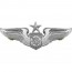 [Vanguard] Air Force Badge: Air Battle Manager: Senior - regulation size