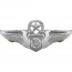 [Vanguard] Air Force Badge: Air Battle Manager: Master - regulation size