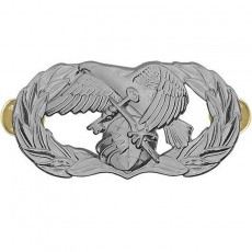 [Vanguard] Air Force Badge: Logistics Readiness - regulation size