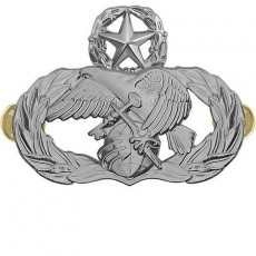 [Vanguard] Air Force Badge: Logistics Readiness: Master - regulation size