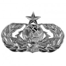 [Vanguard] Air Force Badge: Cyberspace Support: Senior - regulation size