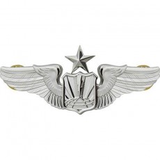[Vanguard] Air Force Badge: Unmanned Aircraft Systems: Senior - Regulation size