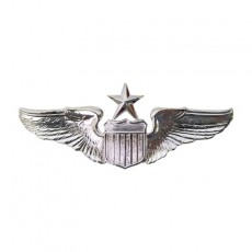 [Vanguard] Air Force Badge: Pilot: Senior - miniature