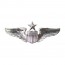[Vanguard] Air Force Badge: Pilot: Senior - miniature