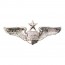 [Vanguard] Air Force Badge: Navigator: Senior - miniature