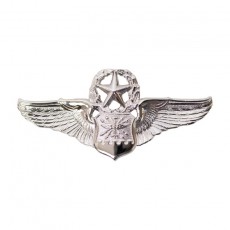 [Vanguard] Air Force Badge: Navigator: Master - miniature