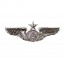 [Vanguard] Air Force Badge: Aircrew: Senior - miniature