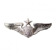 [Vanguard] Air Force Badge: Officer Aircrew: Senior - miniature