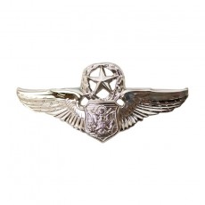 [Vanguard] Air Force Badge: Officer Aircrew: Master - miniature