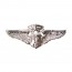 [Vanguard] Air Force Badge: Flight Surgeon: Chief - miniature