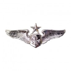 [Vanguard] Air Force Badge: Flight Nurse: Senior - miniature