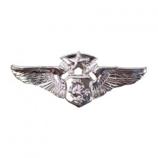 [Vanguard] Air Force Badge: Flight Nurse: Chief - miniature
