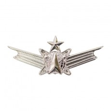 [Vanguard] Air Force Badge: Space Senior - miniature