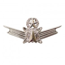 [Vanguard] Air Force Badge: Space Master - miniature