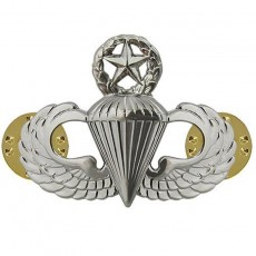 [Vanguard] Air Force Badge: Parachutist: Master - midsize