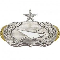 [Vanguard] Air Force Badge: Historian: Senior - midsize