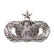 [Vanguard] Air Force Badge: Force Protection: Senior - midsize