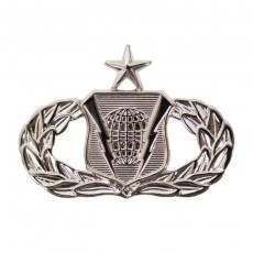 [Vanguard] Air Force Badge: Command and Control: Senior - midsize