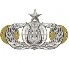 [Vanguard] Air Force Badge: Band: Senior - midsize