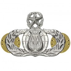 [Vanguard] Air Force Badge: Band: Master - midsize