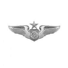 [Vanguard] Air Force Badge: Air Battle Manager: Senior - miniature