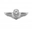 [Vanguard] Air Force Badge: Air Battle Manager: Master - miniature
