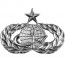 [Vanguard] Air Force Badge: Officer Force Support: Senior - midsize