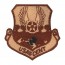 [Vanguard] Air Force Patch: Air Force Central: USAFCENT - desert with hook closure