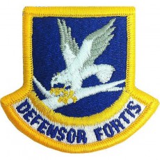 [Vanguard] Air Force Patch: Security Force Enlisted - color