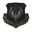 [Vanguard] Air Force Patch: Air Force Special Operations - subdued