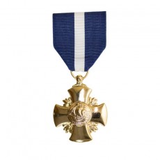 [Vanguard] Full Size Medal: Navy Cross - 24k Gold Plated