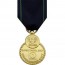 [Vanguard] Full Size Medal: Navy Expert Pistol - 24k Gold Plated