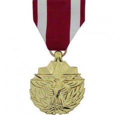 [Vanguard] Full Size Medal: Meritorious Service - 24k Gold Plated