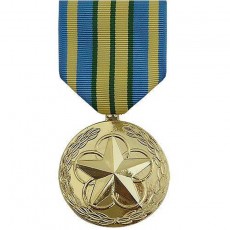 [Vanguard] Full Size Medal: Outstanding Volunteer Service - 24k Gold Plated