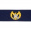 [Vanguard] Coast Guard Embroidered Badge: Command Ashore - Ripstop fabric