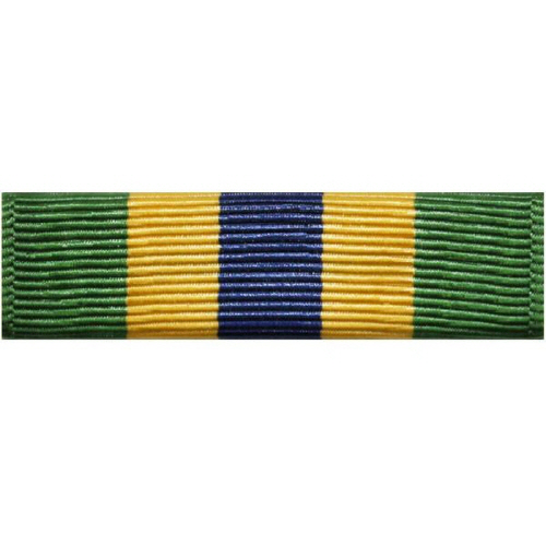 [Vanguard] Ribbon Unit Texas National Guard Homeland Defense | 약장