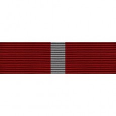 [Vanguard] Ribbon Unit #1346: Young Marine's Lifesaving Second Degree | 약장