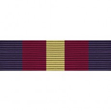 [Vanguard] Ribbon Unit #4030: Young Marine's Honor Recruit | 약장