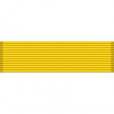 [Vanguard] Ribbon Unit #3016 - Air Force ROTC/JROTCGold Valor Award | 약장