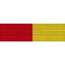 [Vanguard] Ribbon Unit #3202: Young Marine's Sportsmanship | 약장