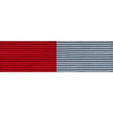 [Vanguard] Ribbon Unit #3213: Young Marine's Drill Team | 약장
