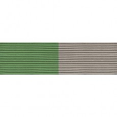[Vanguard] Ribbon Unit #3221: Young Marine's Scuba | 약장